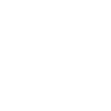 Ambulance Icon