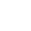 Fast Clock Icon