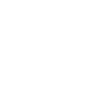 Award with Check Mark Icon