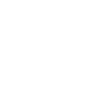 Shield with Star Icon