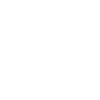 Fast Clock Icon