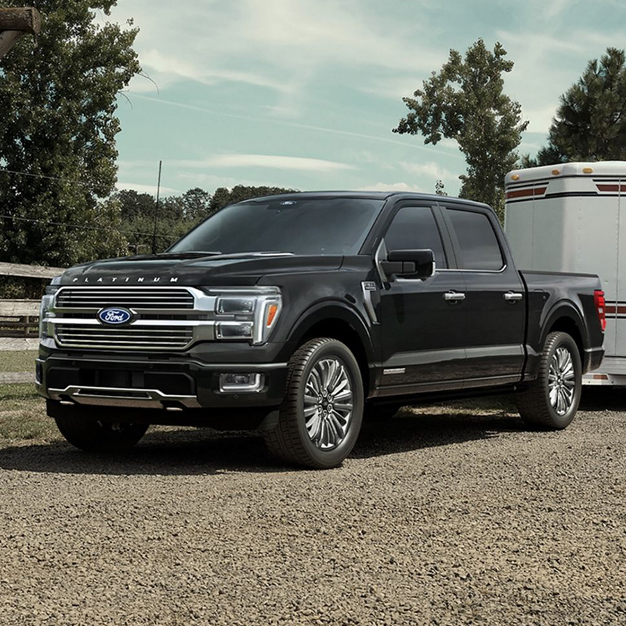 Ford Vehicle